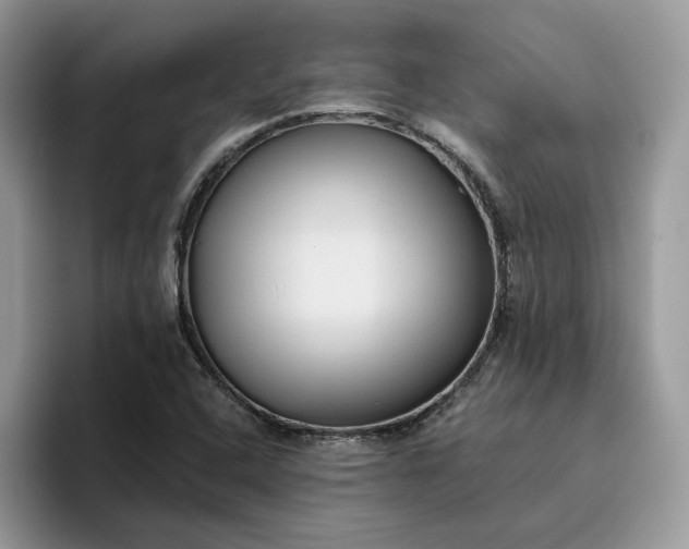 X0000095961408200801251141