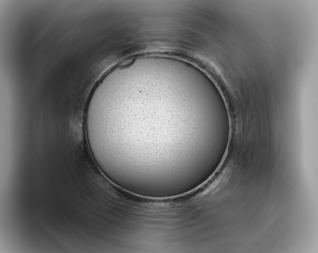 X0000095961409200801251141