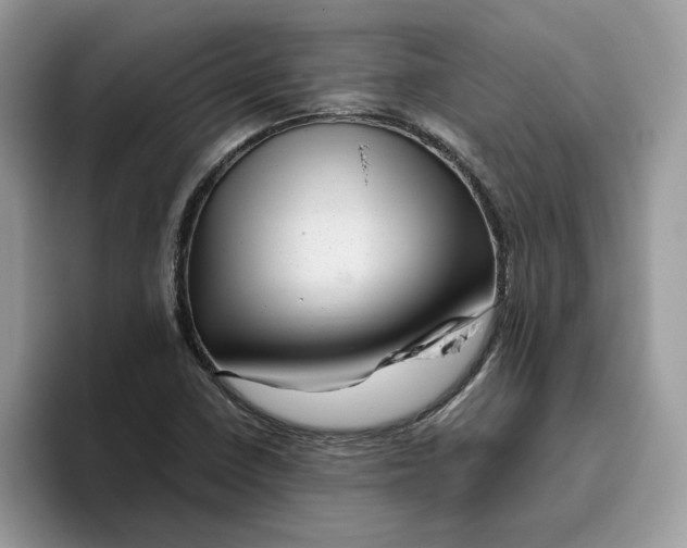 X0000095961410200801251141