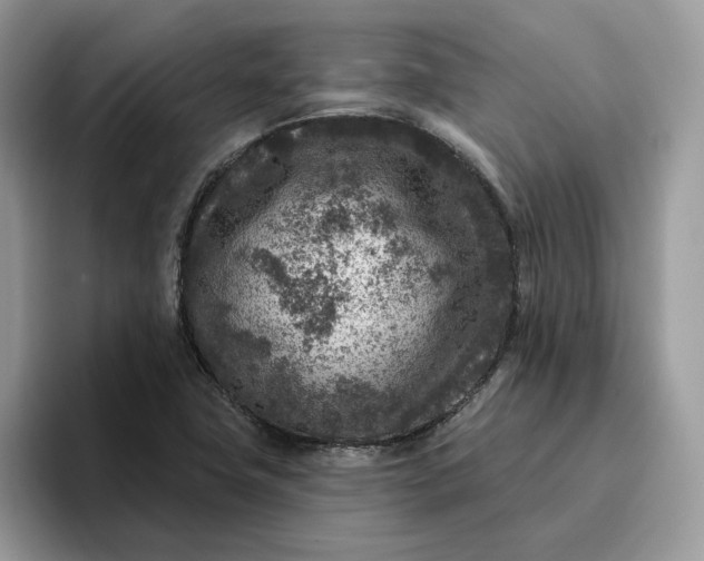 X0000095961411200801251141