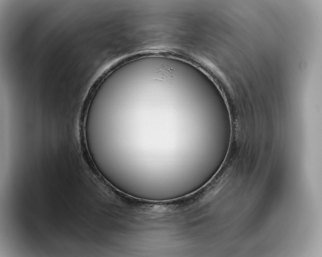 X0000095961412200801251141