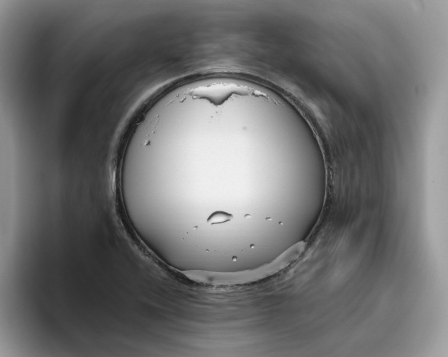 X0000095961416200801251141