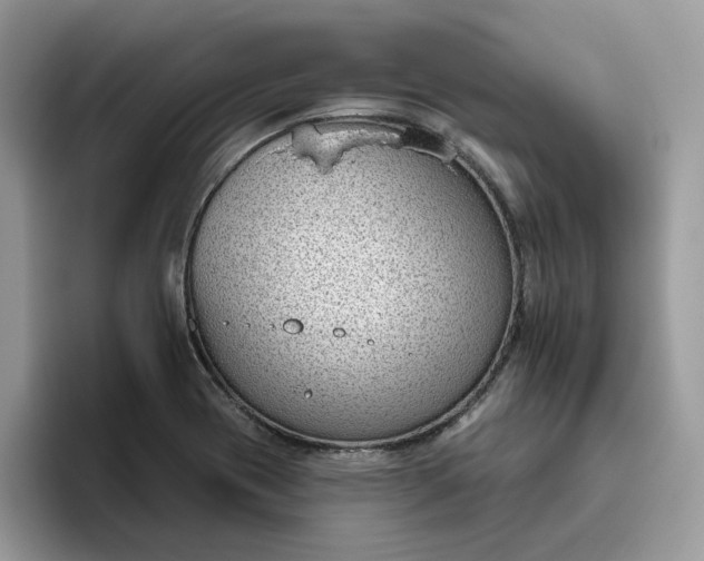 X0000095961417200801251141