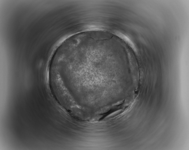 X0000095961419200801251141
