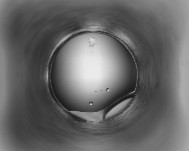 X0000095961420200801251141