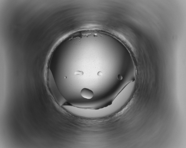 X0000095961421200801251141