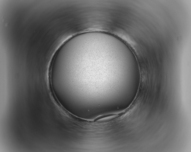 X0000095961423200801251141