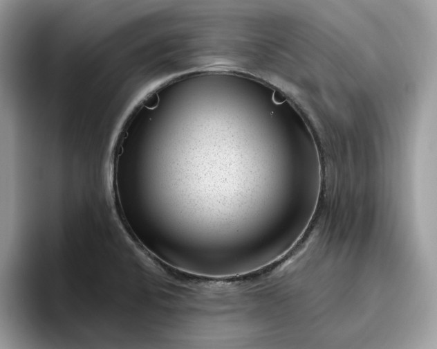 X0000095961424200801251141