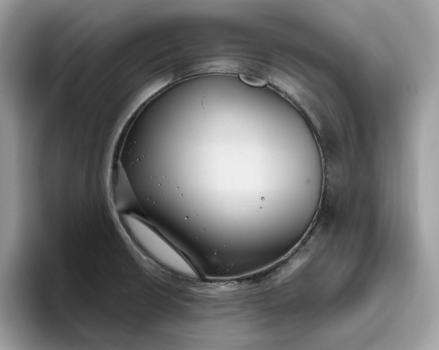 X0000095961426200801251141