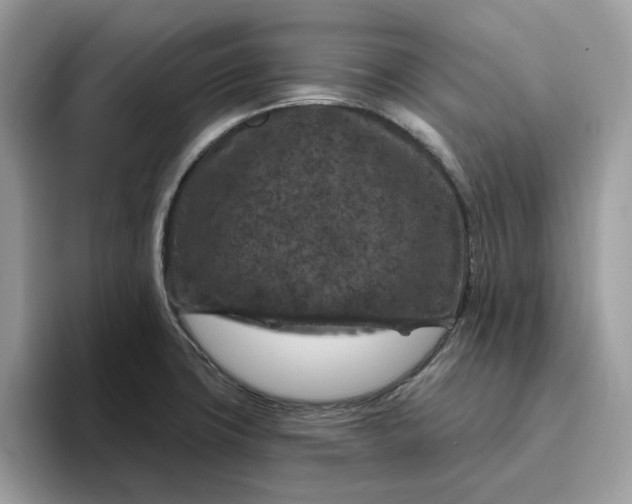 X0000095961427200801251141