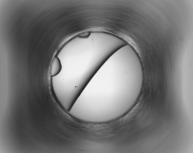 X0000095961428200801251141