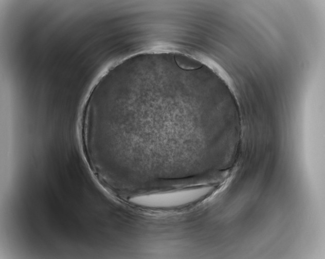 X0000095961429200801251141