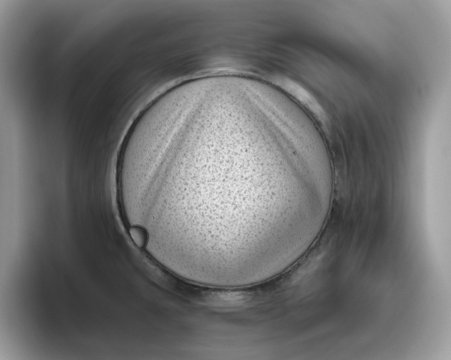 X0000095961431200801251141