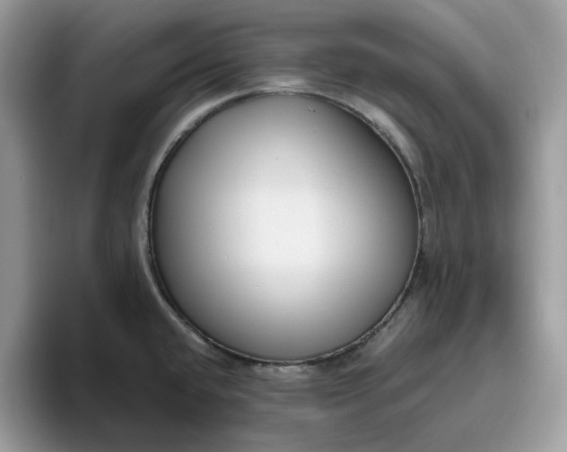 X0000095961432200801251141