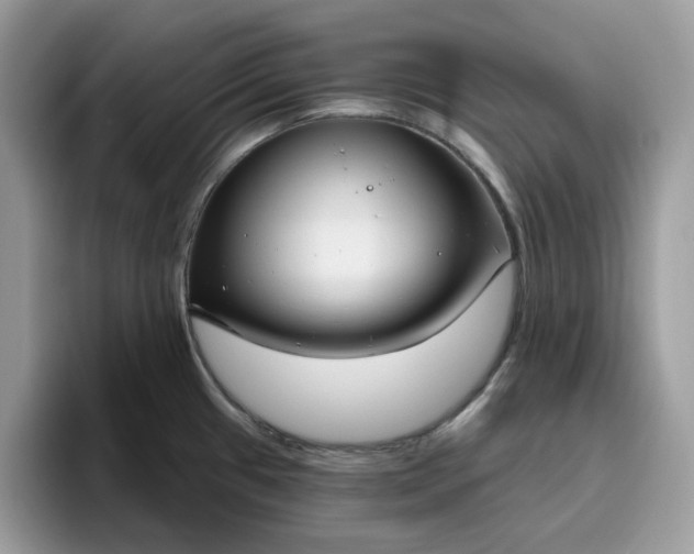 X0000095961433200801251141