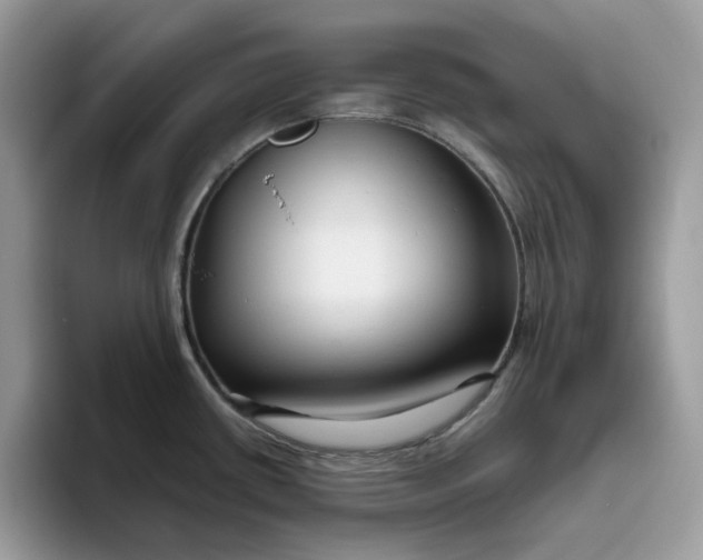 X0000095961434200801251141