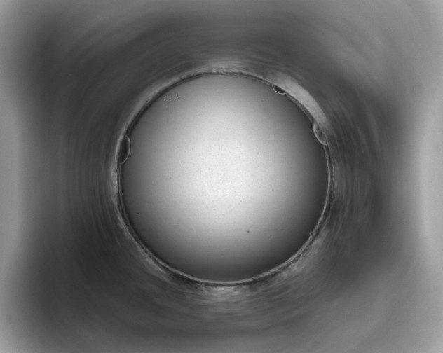 X0000095961436200801251141