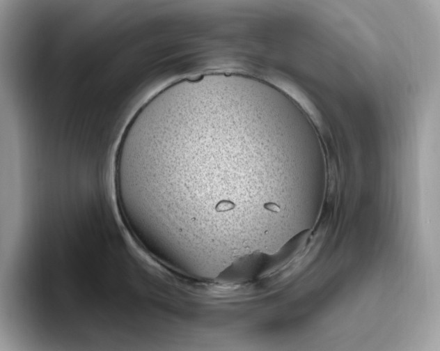 X0000095961439200801251141