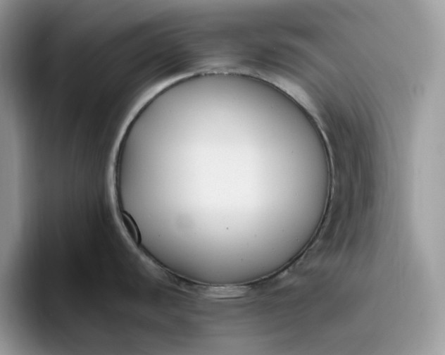 X0000095961440200801251141