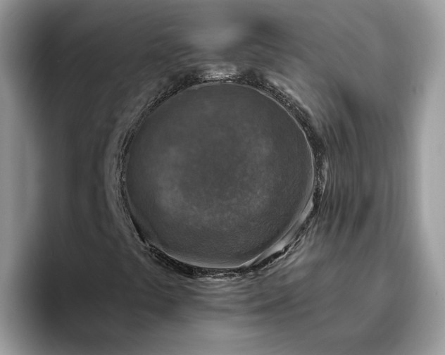 X0000095961441200801251140