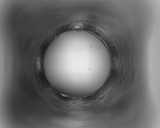 X0000095961442200801251140