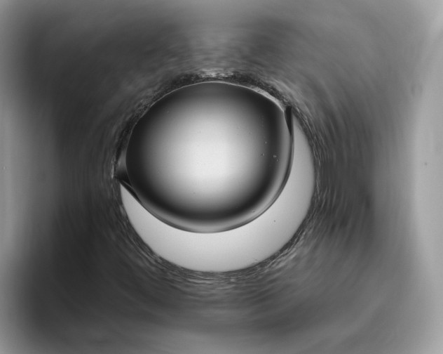 X0000095961444200801251140