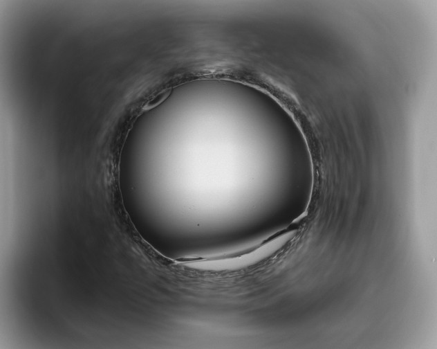 X0000095961447200801251140