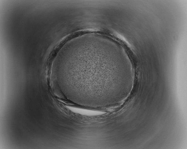 X0000095961448200801251140
