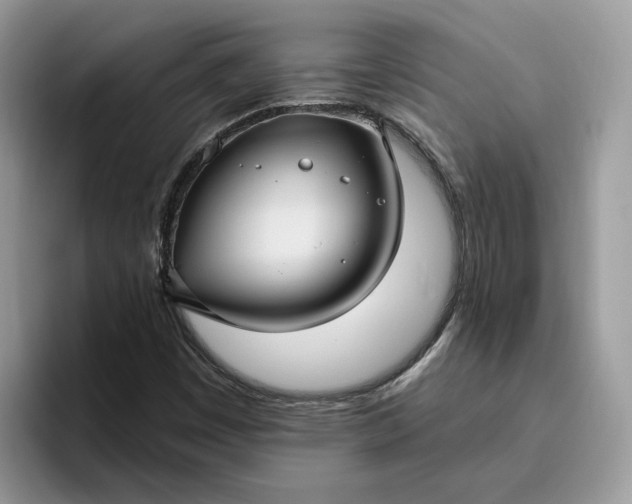 X0000095961449200801251140