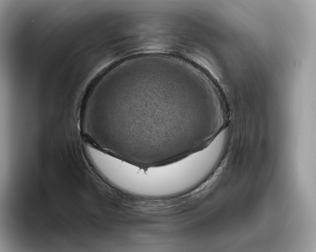 X0000095961450200801251140