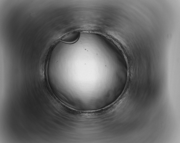 X0000095961451200801251140