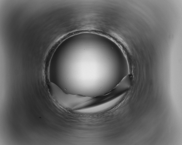 X0000095961452200801251140