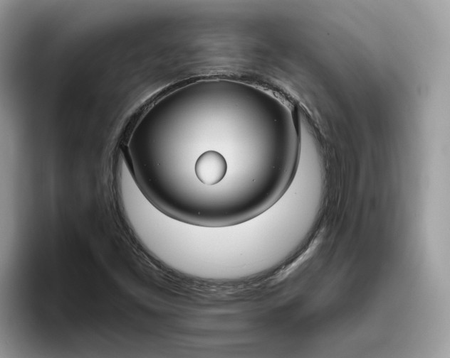 X0000095961453200801251140