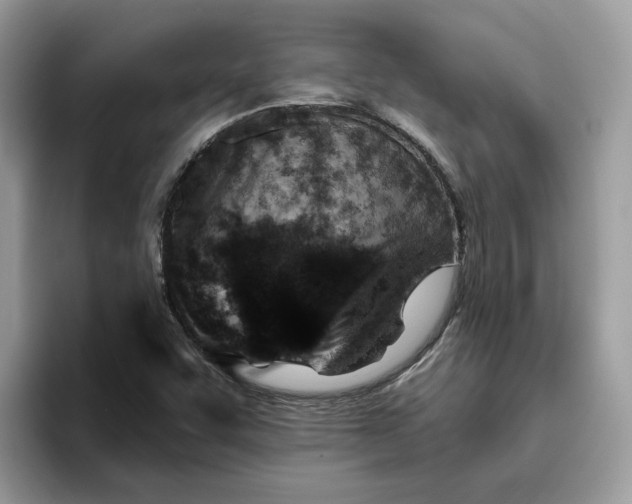 X0000095961455200801251140