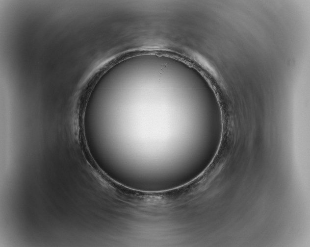 X0000095961456200801251140