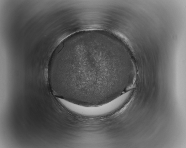 X0000095961457200801251140