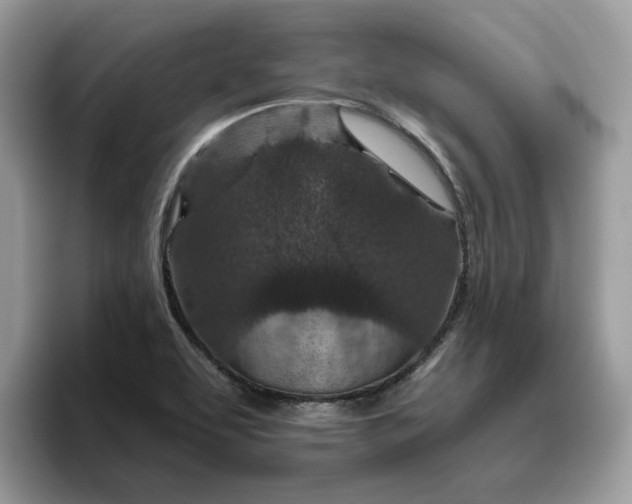 X0000095961463200801251140