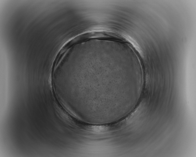 X0000095961465200801251140