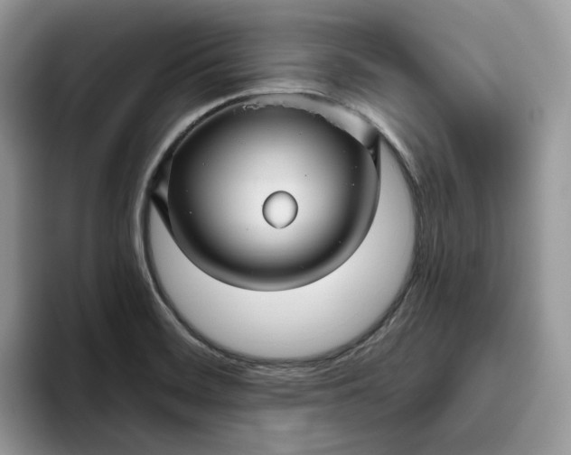 X0000095961468200801251140