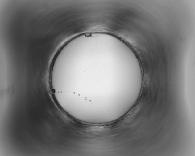 X0000095961470200801251140