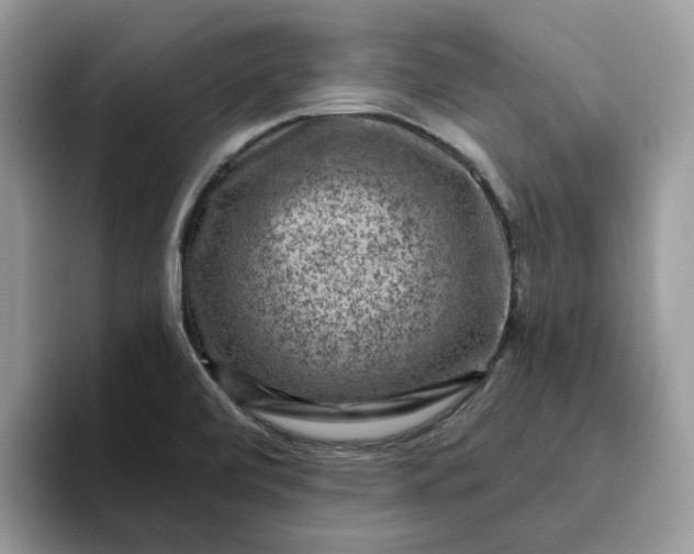 X0000095961472200801251140