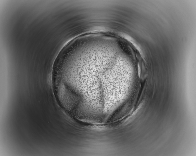 X0000095961473200801251140