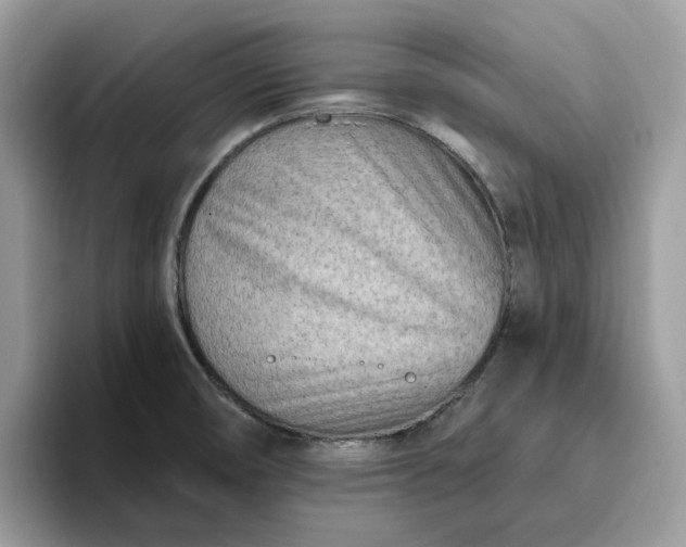 X0000095961474200801251140