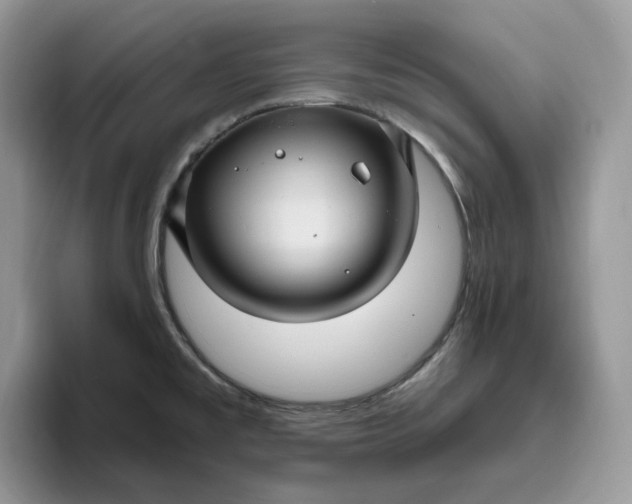 X0000095961477200801251140