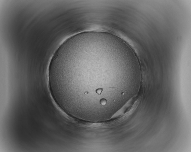 X0000095961479200801251140