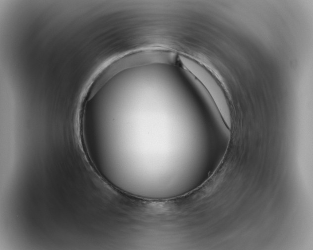 X0000095961480200801251140