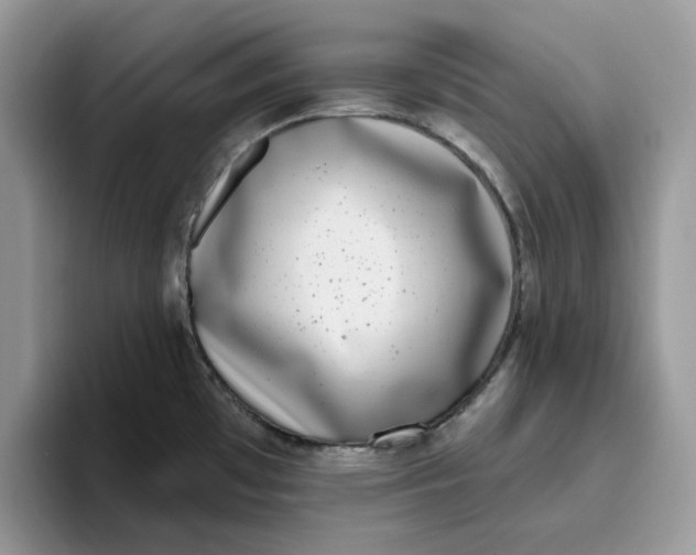 X0000095961481200801251140