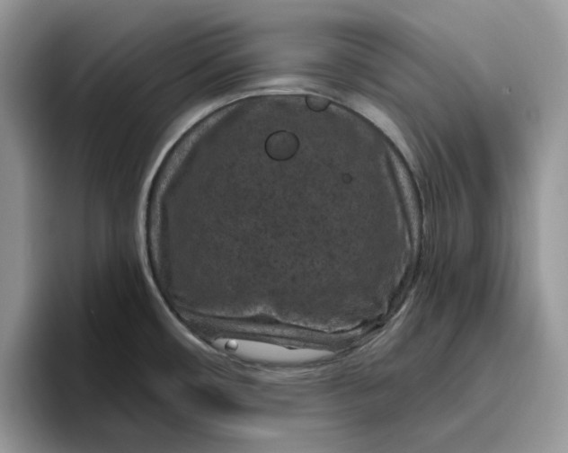 X0000095961482200801251140