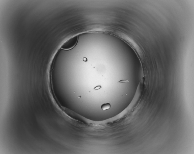 X0000095961483200801251140