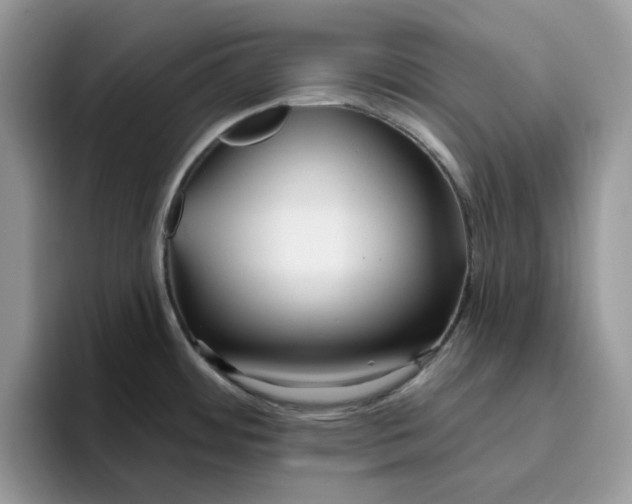 X0000095961484200801251140